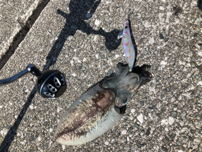 西風が強い中のジギング・エギング！