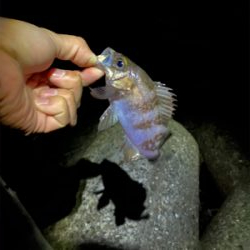 いつもの場所で