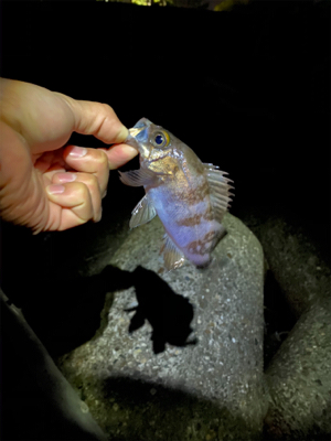 いつもの場所で