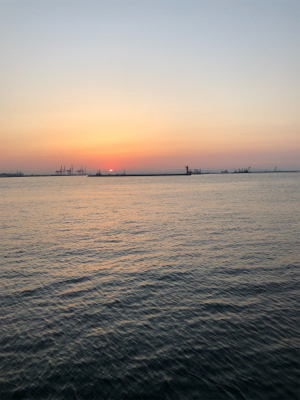 岸壁シーバス　爆