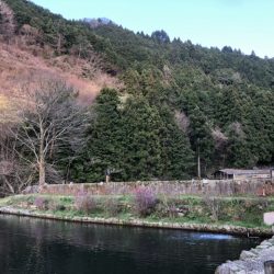 千早川マス釣り場でトップゲーム