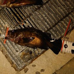 強風で厳しかったけど～