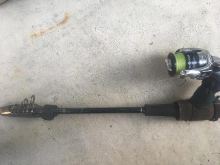 スーパームーン下にて