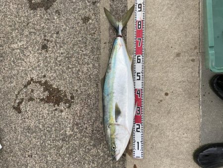 毎年恒例日本海ジギング