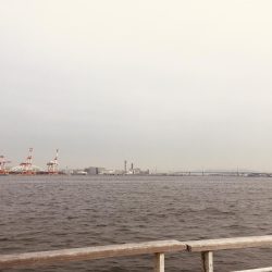 メバリング時々ガシリング