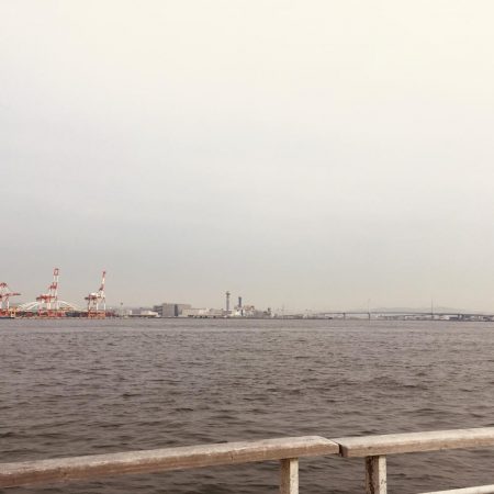 メバリング時々ガシリング