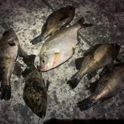 期待すべく時間に地合い