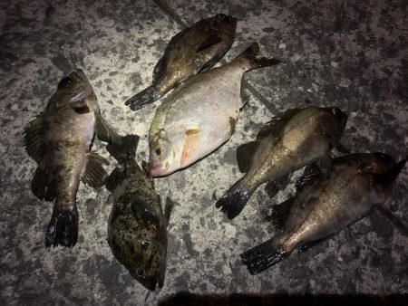 期待すべく時間に地合い