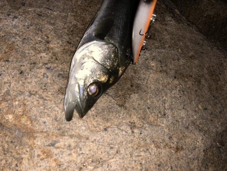 僕達は如意棒 バチシーズン編