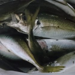 感染防止のため間を広く取って釣りしましょう