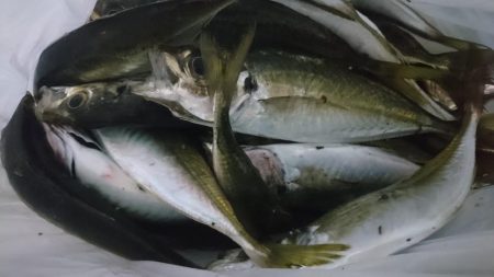 感染防止のため間を広く取って釣りしましょう