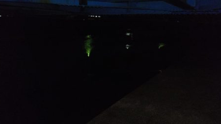 ナイトルアーフィッシング