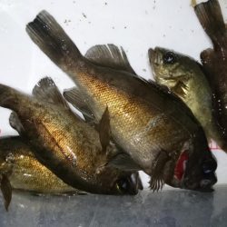 防寒着は忘れずに！！