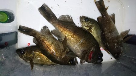 防寒着は忘れずに！！