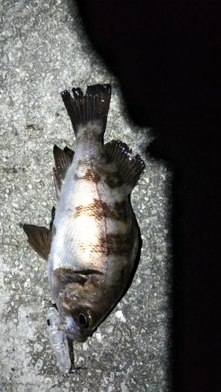 プラグできた！