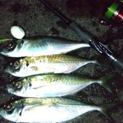 フロートアジング　36cm