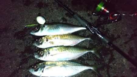 フロートアジング　36cm