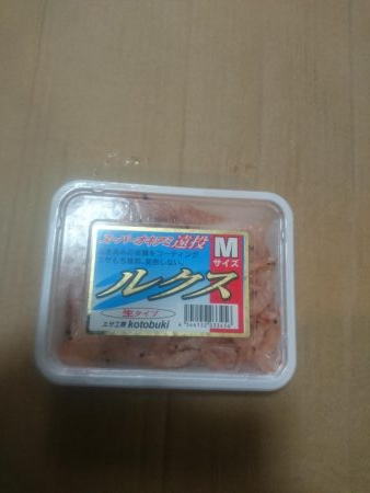 かご釣りでチヌ！&チャリコ