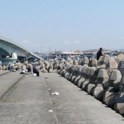 釣友が東二見に集まりました