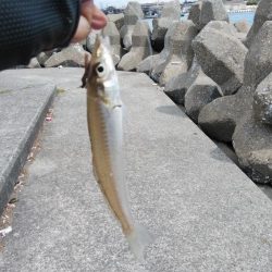 強風の東二見釣行