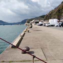 寒い津居山小島でキス狙い