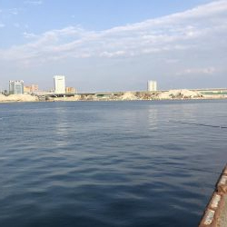 砂揚げでエビ撒き！