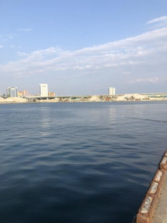 砂揚げでエビ撒き！