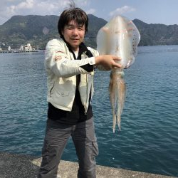 アオリイカ　３.８５Ｋｇ