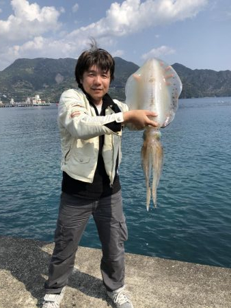 アオリイカ　３.８５Ｋｇ