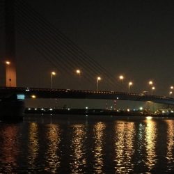 南港へち釣行 （2020/04/11 南港ヘチ釣り　真チヌ（46cm） 釣果有り）