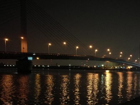 南港へち釣行 （2020/04/11 南港ヘチ釣り　真チヌ（46cm） 釣果有り）