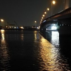 南港へち釣行 (2020/04/12 南港ヘチ釣り キビレチヌ(39cm)クロソイ 釣果有り)