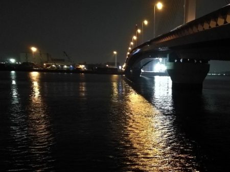 南港へち釣行 (2020/04/12 南港ヘチ釣り キビレチヌ(39cm)クロソイ 釣果有り)