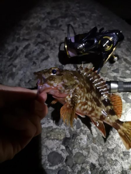 味噌汁リベンジ