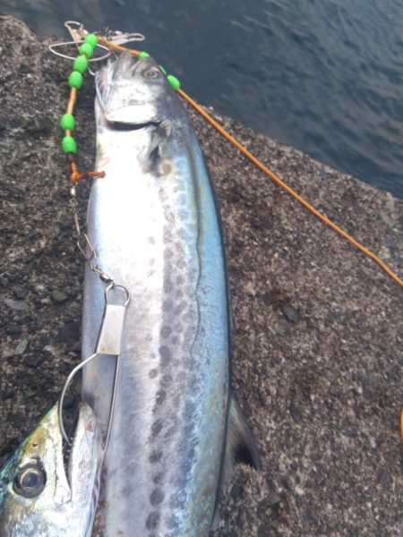 ライトショアジギング