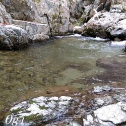 またよく釣れた揖保川支流