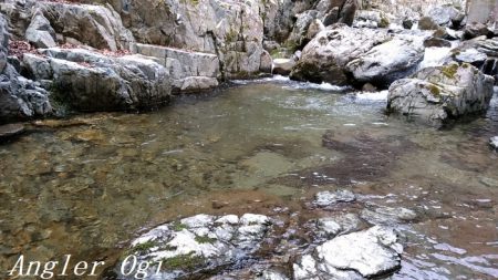 またよく釣れた揖保川支流