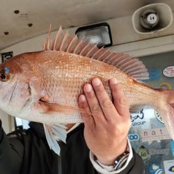 遊漁船 ニライカナイ 釣果