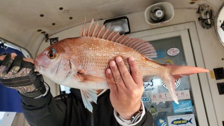 遊漁船 ニライカナイ 釣果