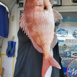 遊漁船 ニライカナイ 釣果