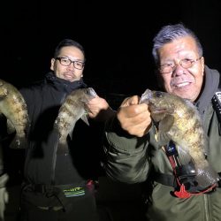 Magic（マジック） 釣果