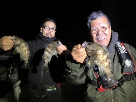 Magic（マジック） 釣果