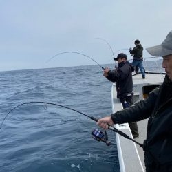 へいみつ丸 釣果