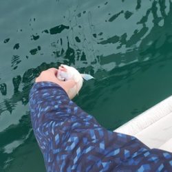 遊漁船 ニライカナイ 釣果