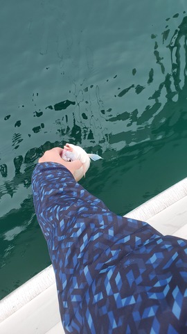 遊漁船 ニライカナイ 釣果