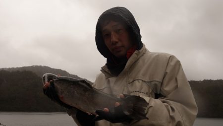 フィッシングレイクたかみや 釣果