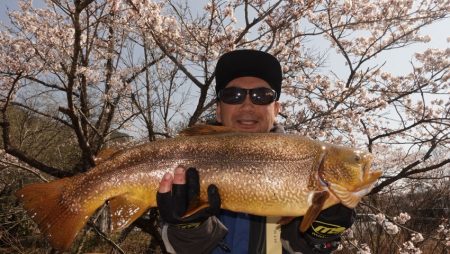 フィッシングレイクたかみや 釣果