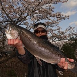 フィッシングレイクたかみや 釣果