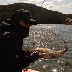 フィッシングレイクたかみや 釣果