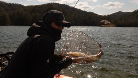 フィッシングレイクたかみや 釣果